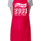 Vintage Birthday 2003 21st Birthday Funny Apron Novelty Baking BBQ