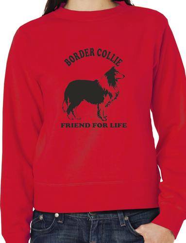 Border Collie Dog Lover Adult Sweater