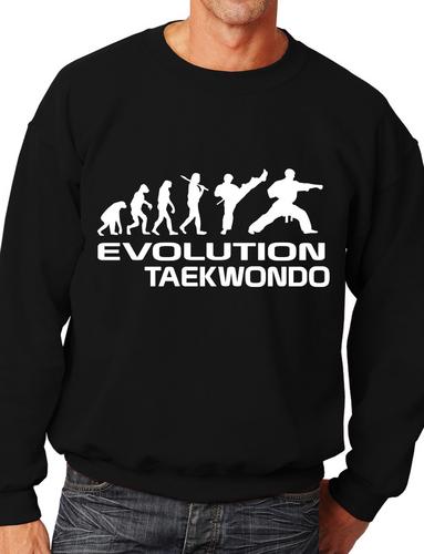 Evolution Of Taekwondo Martial Arts Adult Sweatshirt