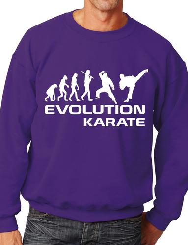 Evolution Of Karate Martial Arts Adult Sweatshirt