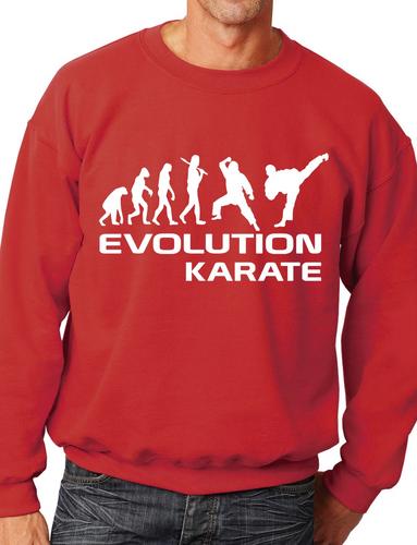 Evolution Of Karate Martial Arts Adult Sweatshirt