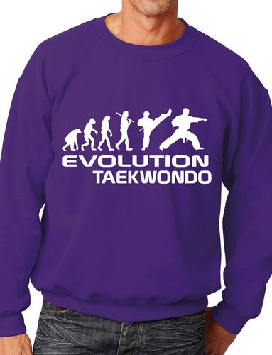 Evolution Of Taekwondo Martial Arts Adult Sweatshirt