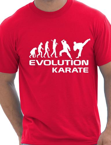 Evolution Of Karate Martial Arts T-Shirt