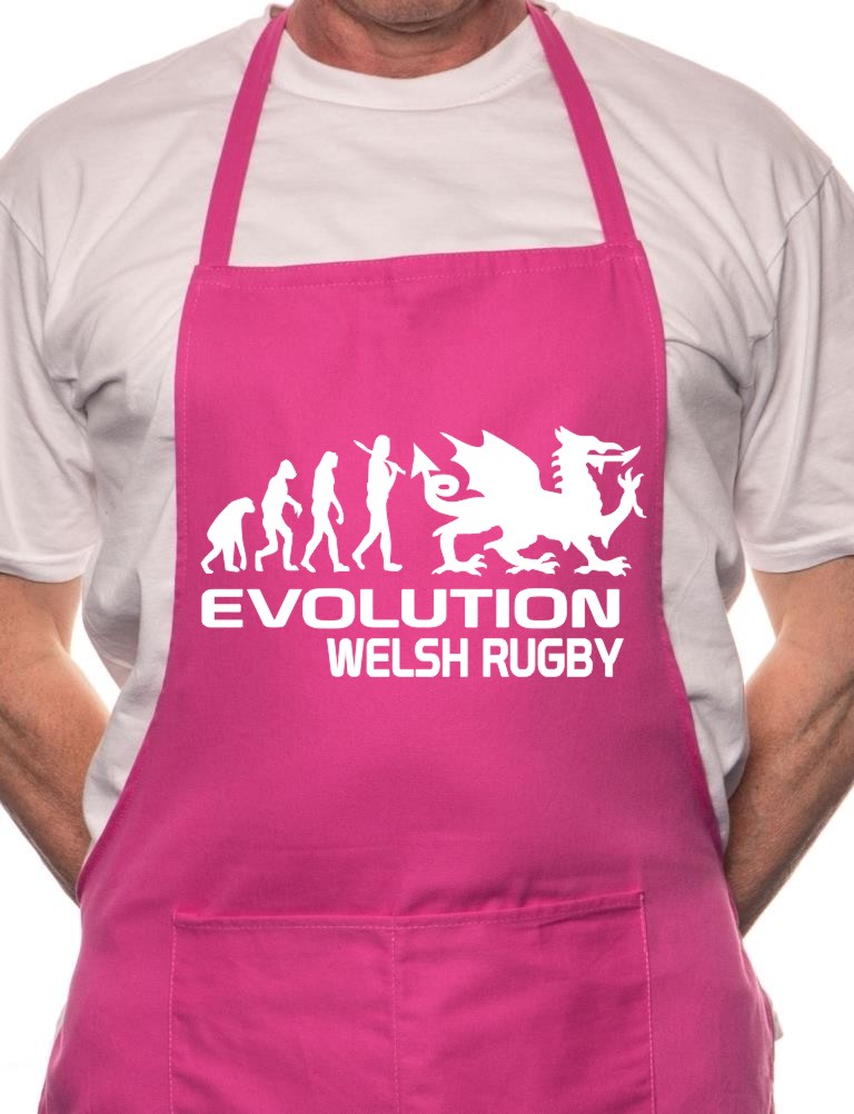 Adult Evolution Welsh Rugby Cymru Wales BBQ Cooking Funny Novelty Apron