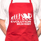 Adult Evolution Welsh Rugby Cymru Wales BBQ Cooking Funny Novelty Apron