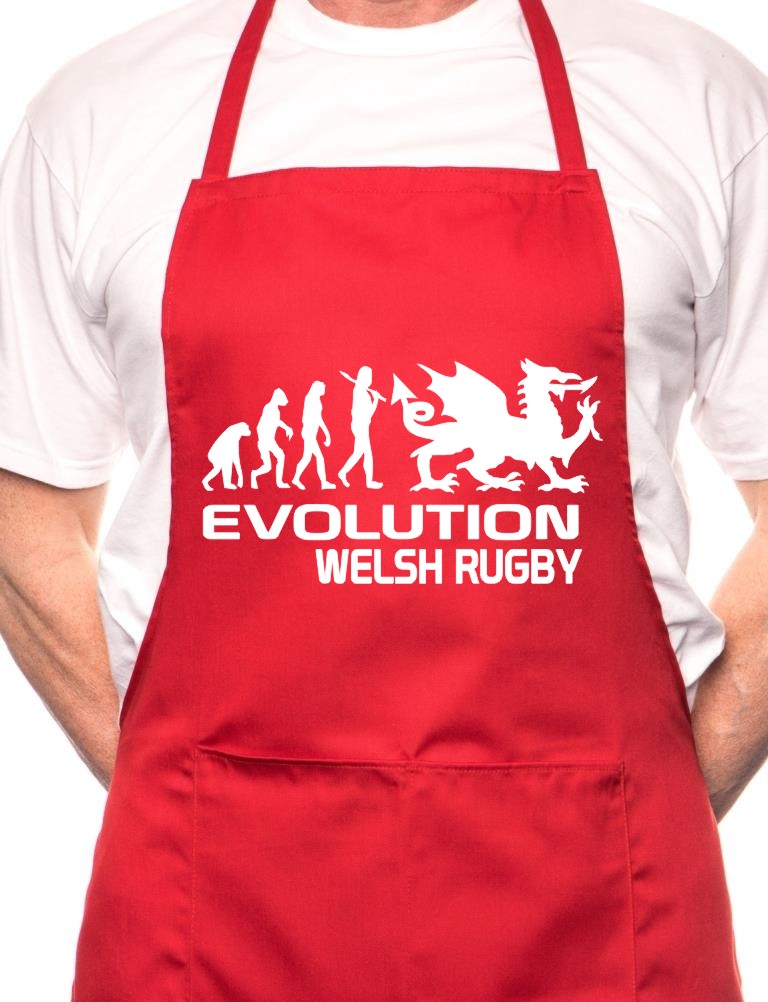 Adult Evolution Welsh Rugby Cymru Wales BBQ Cooking Funny Novelty Apron