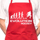 Evolution Of Hockey BBQ Funny Apron