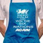 Adult Wales Win 6 Nations Rugby BBQ Cooking Funny Novelty Apron