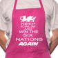 Adult Wales Win 6 Nations Rugby BBQ Cooking Funny Novelty Apron