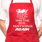 Adult Wales Win 6 Nations Rugby BBQ Cooking Funny Novelty Apron