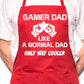 Adult Gamer Dad BBQ Cooking Funny Novelty Apron