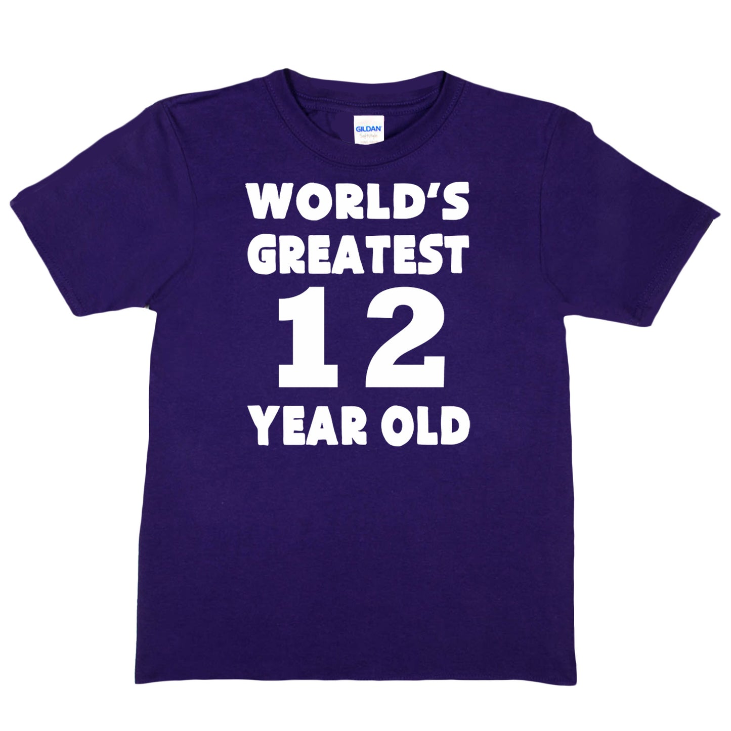 Happy Birthday Tee Age 12 Worlds Greatest 12 Year Old 12th Birthday T-Shirt