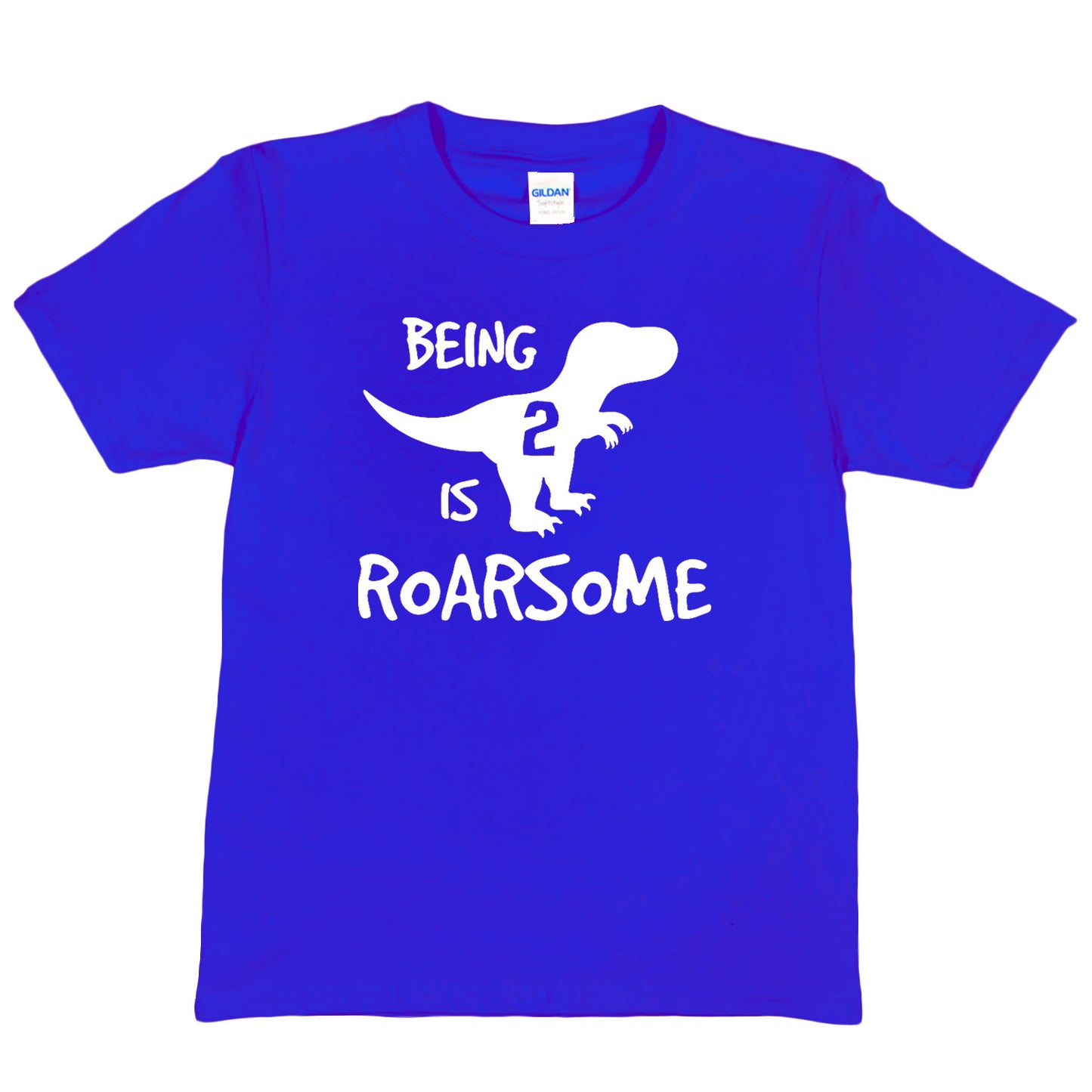 Kids T-shirt Dinosaur Roarsome Age 2 Happy 2nd Birthday T-Shirt