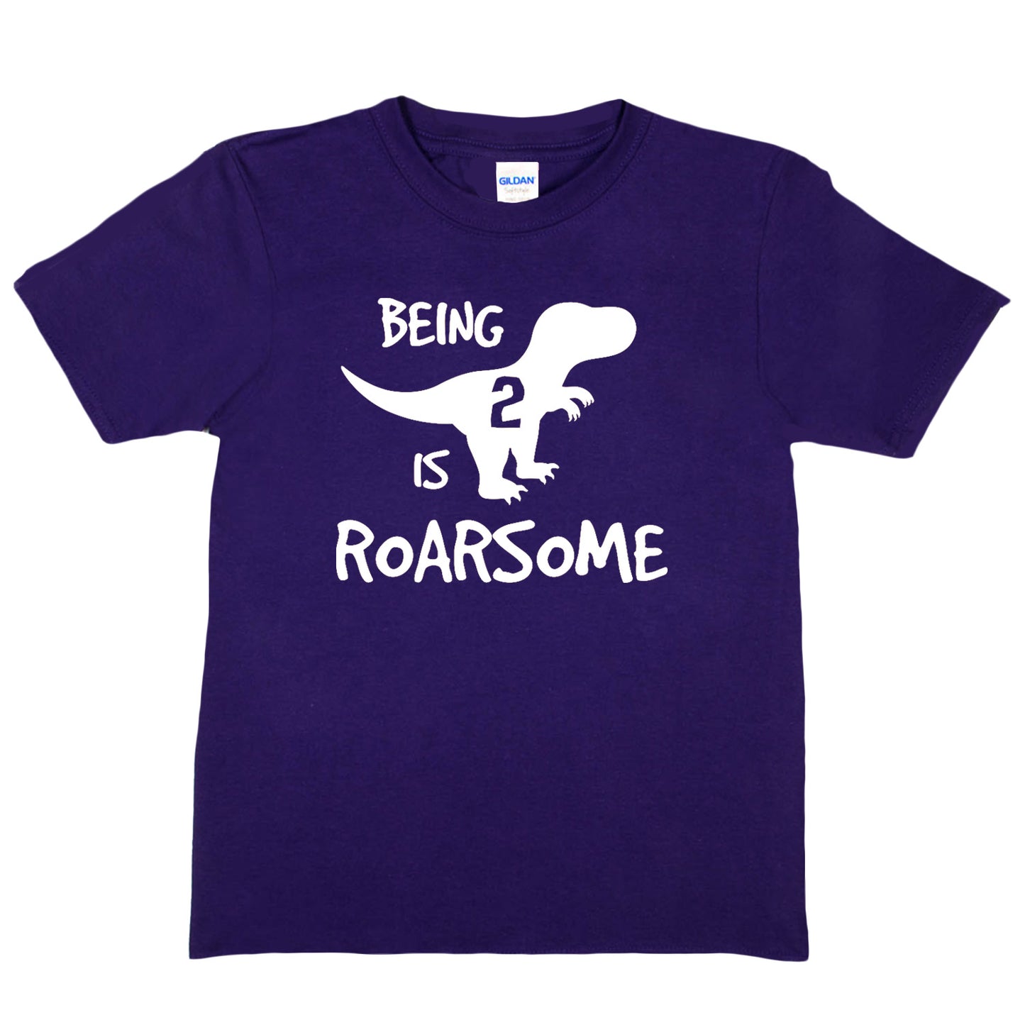 Kids T-shirt Dinosaur Roarsome Age 2 Happy 2nd Birthday T-Shirt