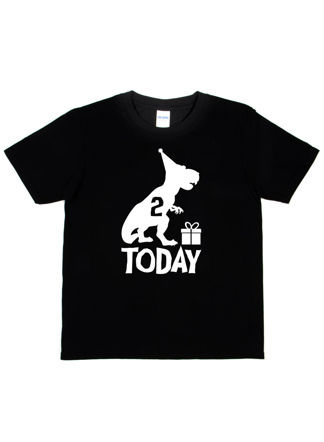 Birthday Kids 2 Today Age 2 Dinosaur Happy T-Shirt