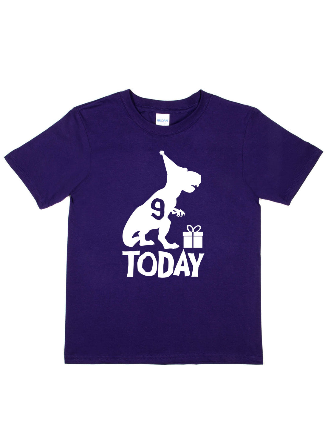 Birthday Kids 9 Today Age 9 Dinosaur Happy T-Shirt