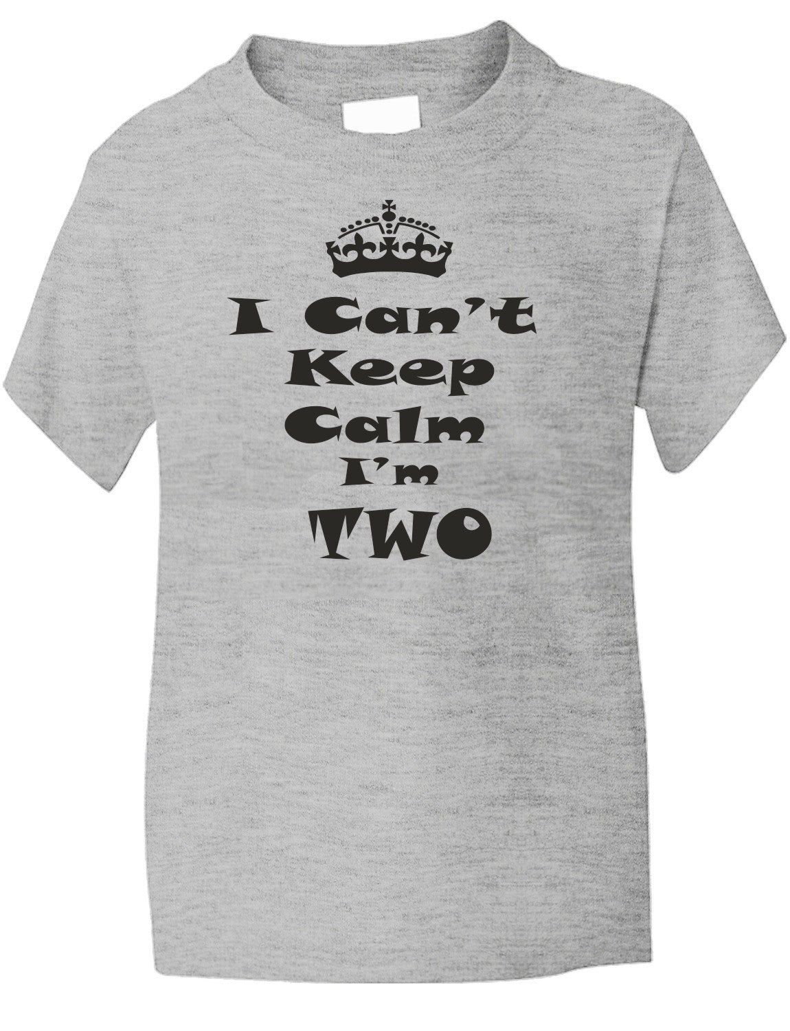 Keep Calm I'm Two Kids T-Shirt