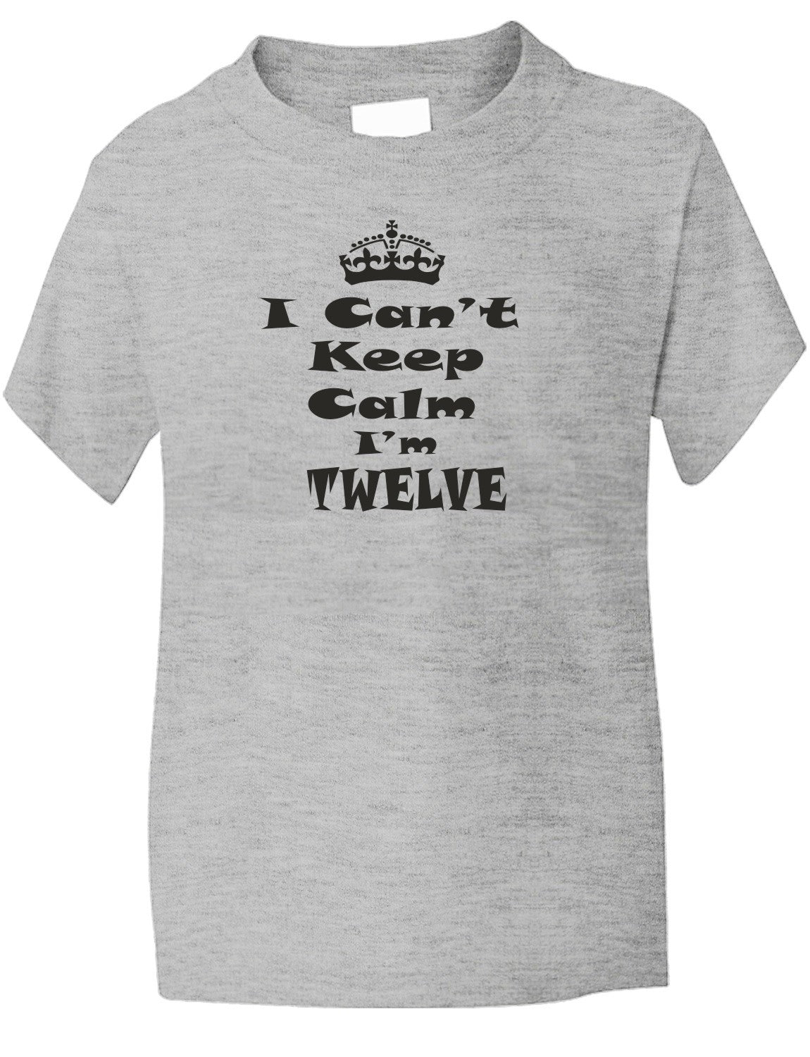 Keep Calm I'm Twelve Kids T-Shirt