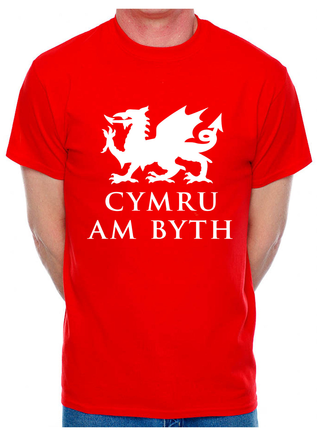 Cymru Am Byth Wales Welsh Dragon Mens T-Shirt