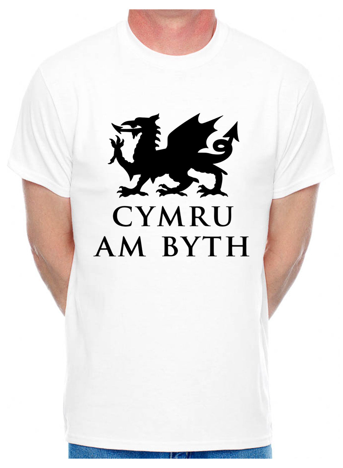 Cymru Am Byth Wales Welsh Dragon Mens T-Shirt