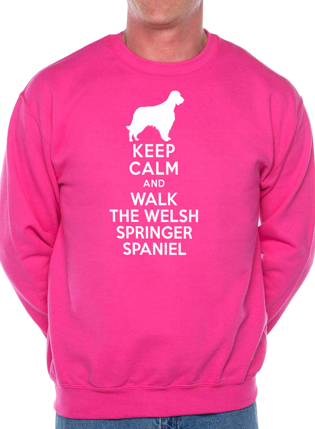 Keep Calm Walk Welsh Springer Spaniel Dog Lovers Sweatshirt