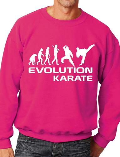 Evolution Of Karate Martial Arts Adult Sweatshirt