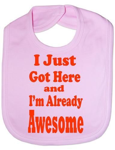 Just Got Here & Awesome Baby Bib