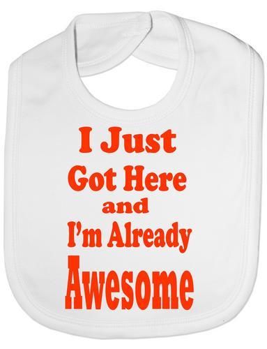 Just Got Here & Awesome Baby Bib