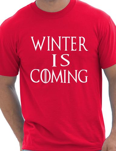 Winter Is coming T-Shirt