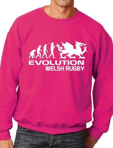 Evolution Of Welsh Rugby Funny Sweatshirt